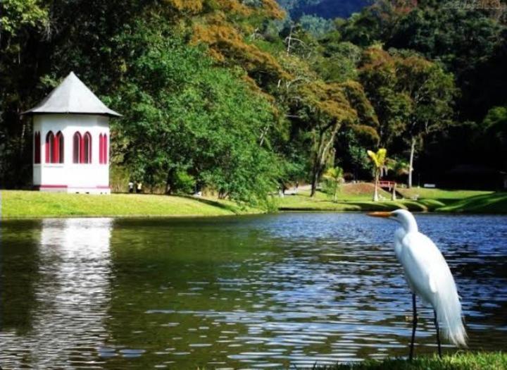 Ferienwohnung Pedra Do Imperador Nova Friburgo Exterior foto